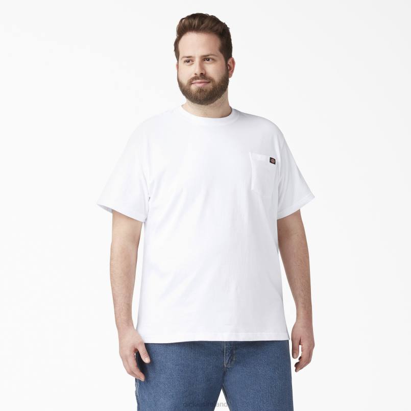 Dickies Men Short Sleeve Lightweight Pocket T-Shirt White (WH) N80J576 Apparel