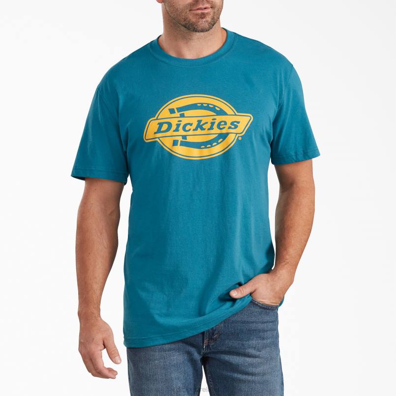 Dickies Men Short Sleeve Relaxed Fit Graphic T-Shirt Teal (TL) N80J846 Apparel