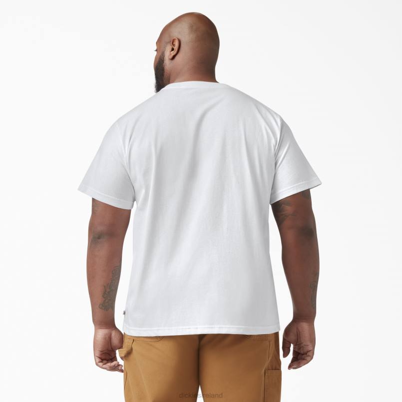 Dickies Men Short Sleeve T-Shirt White (WH) N80J634 Apparel