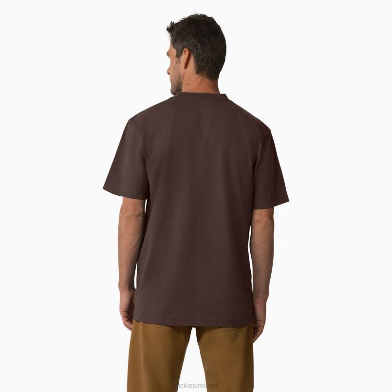 Dickies Men Short Sleeve Tri-Color Logo Graphic T-Shirt Chocolate Brown (CB) N80J708 Apparel