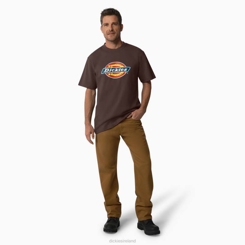 Dickies Men Short Sleeve Tri-Color Logo Graphic T-Shirt Chocolate Brown (CB) N80J708 Apparel