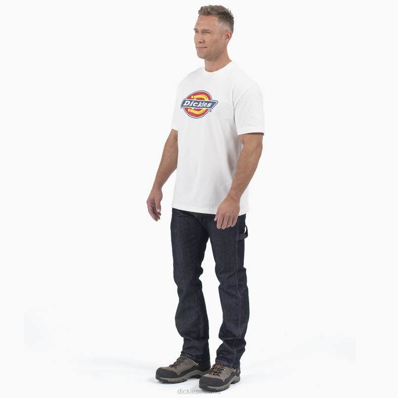 Dickies Men Short Sleeve Tri-Color Logo Graphic T-Shirt White (WH) N80J714 Apparel