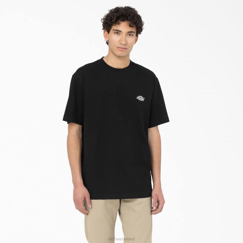 Dickies Men Summerdale Short Sleeve T-Shirt Black (BKX) N80J579 Apparel