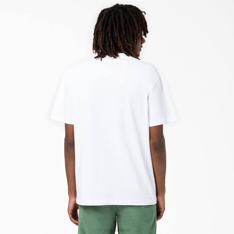 Dickies Men Union Springs Short Sleeve T-Shirt White (WH) N80J799 Apparel