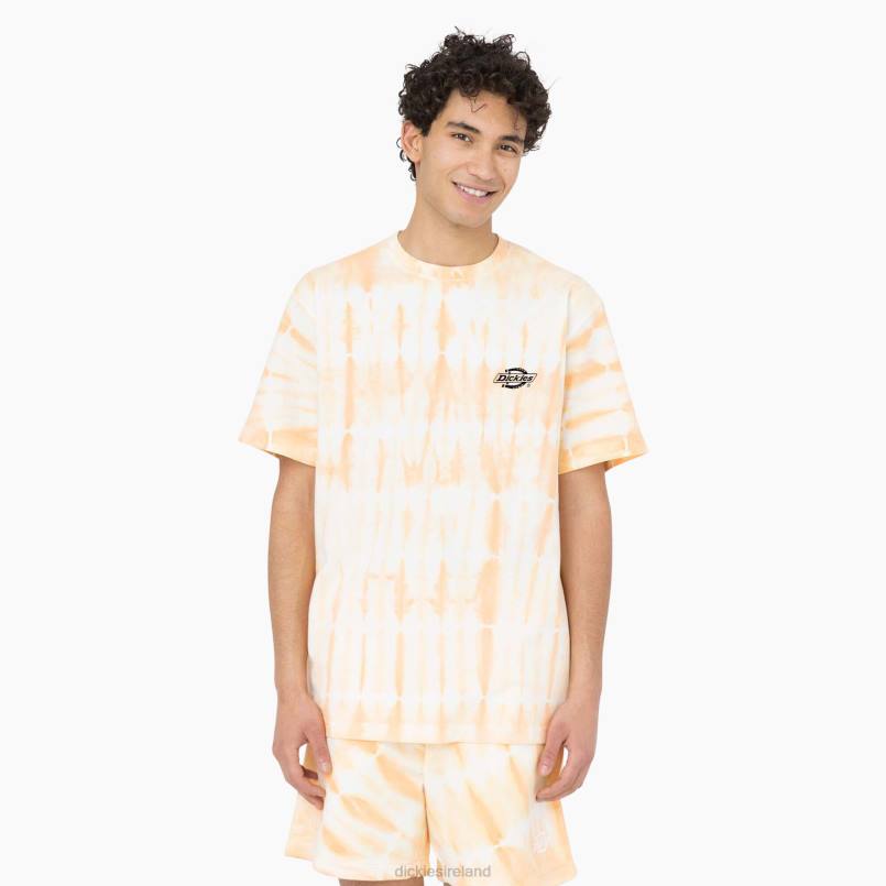 Dickies Men Westfir Short Sleeve T-Shirt Impala (MA2) N80J589 Apparel