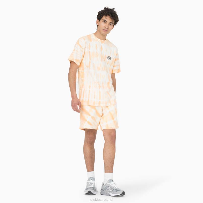 Dickies Men Westfir Short Sleeve T-Shirt Impala (MA2) N80J589 Apparel