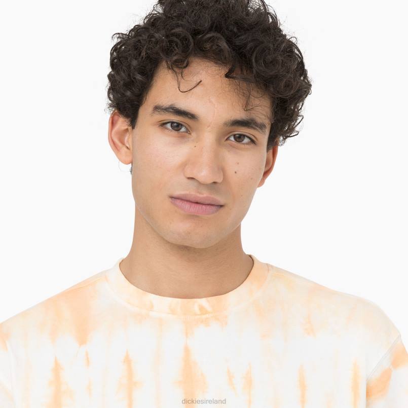 Dickies Men Westfir Short Sleeve T-Shirt Impala (MA2) N80J589 Apparel