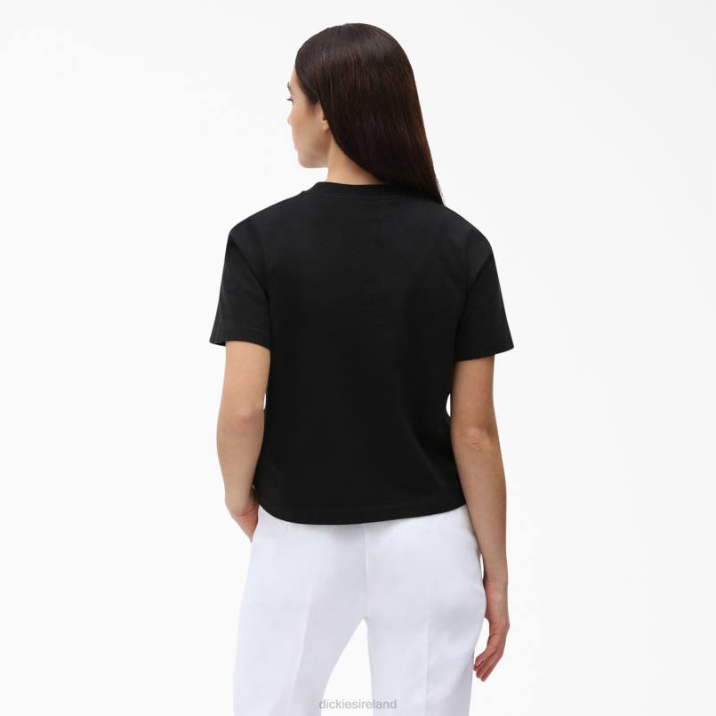 Dickies Women Loretto Cropped T-Shirt Black (KBK) N80J2179 Apparel