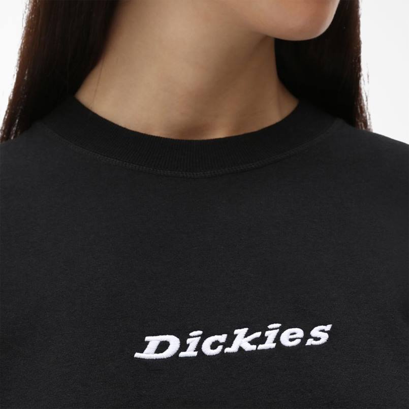 Dickies Women Loretto Cropped T-Shirt Black (KBK) N80J2179 Apparel