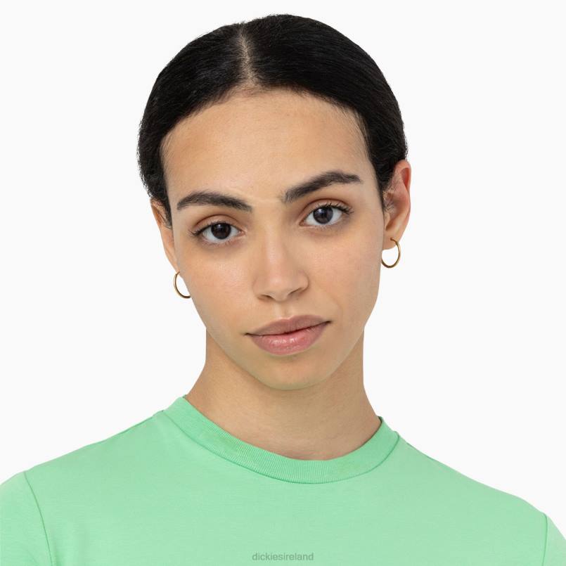 Dickies Women Maple Valley Logo Cropped T-Shirt Apple Mint (AR2) N80J2094 Apparel