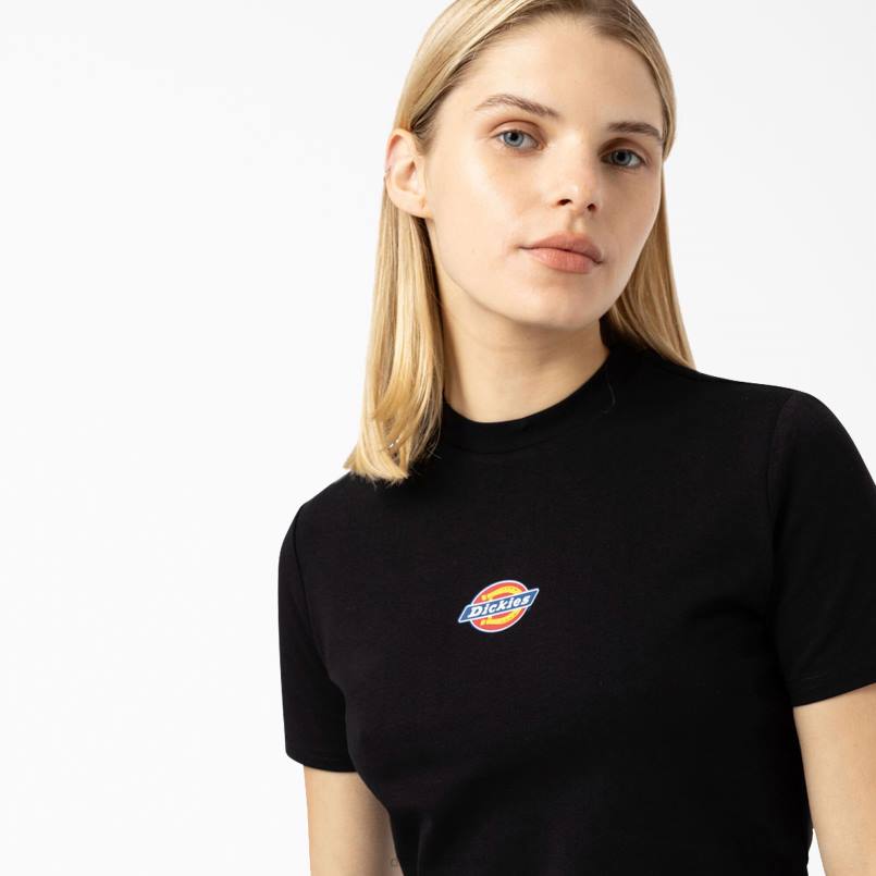 Dickies Women Maple Valley Logo Cropped T-Shirt Black (KBK) N80J2097 Apparel
