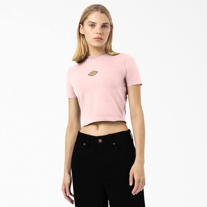 Dickies Women Maple Valley Logo Cropped T-Shirt Pink (PK) N80J2099 Apparel