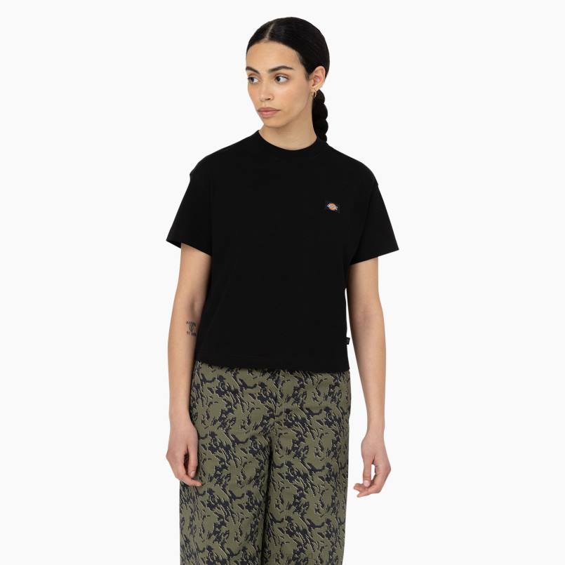 Dickies Women Oakport Cropped T-Shirt Black (KBK) N80J2043 Apparel