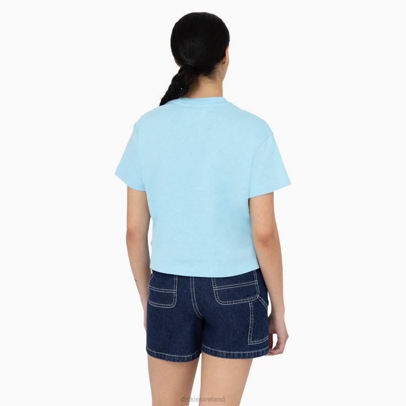 Dickies Women Oakport Cropped T-Shirt Sky Blue (SU9) N80J2044 Apparel