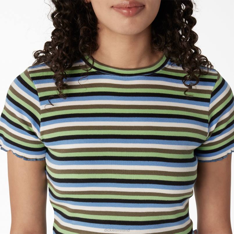 Dickies Women Striped Cropped Baby T-Shirt Mint/Military Explorer Stripe (NTS) N80J2077 Apparel