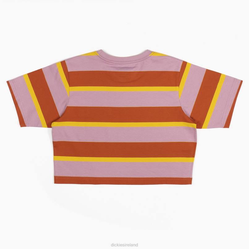 Dickies Women Striped Cropped T-Shirt Ginger Fox Collegiate Stripe (XSR) N80J2017 Apparel