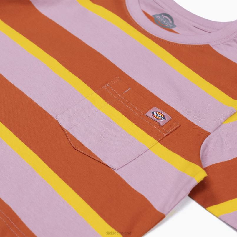 Dickies Women Striped Cropped T-Shirt Ginger Fox Collegiate Stripe (XSR) N80J2017 Apparel