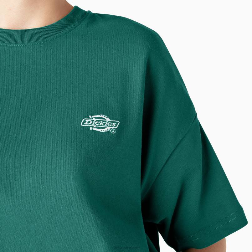 Dickies Women Summerdale Short Sleeve T-Shirt Aventurine (AV2) N80J1977 Apparel